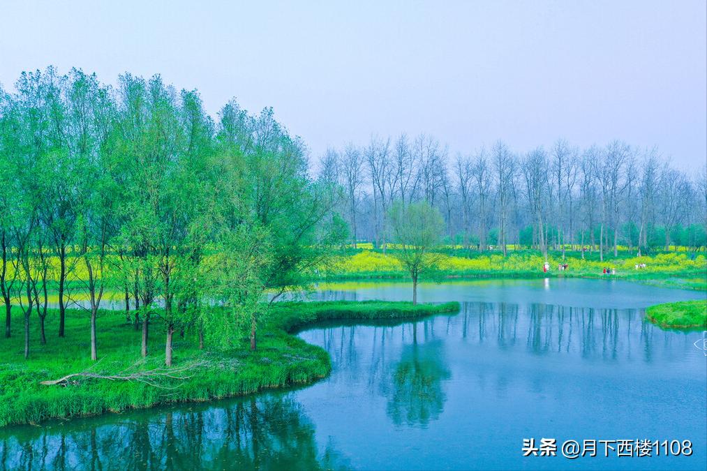 常宁市历届北大清华名单,湖南常宁历届高考状元分数