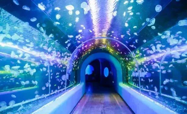 深圳最大的室内游乐场,深圳适合小孩玩的游乐场