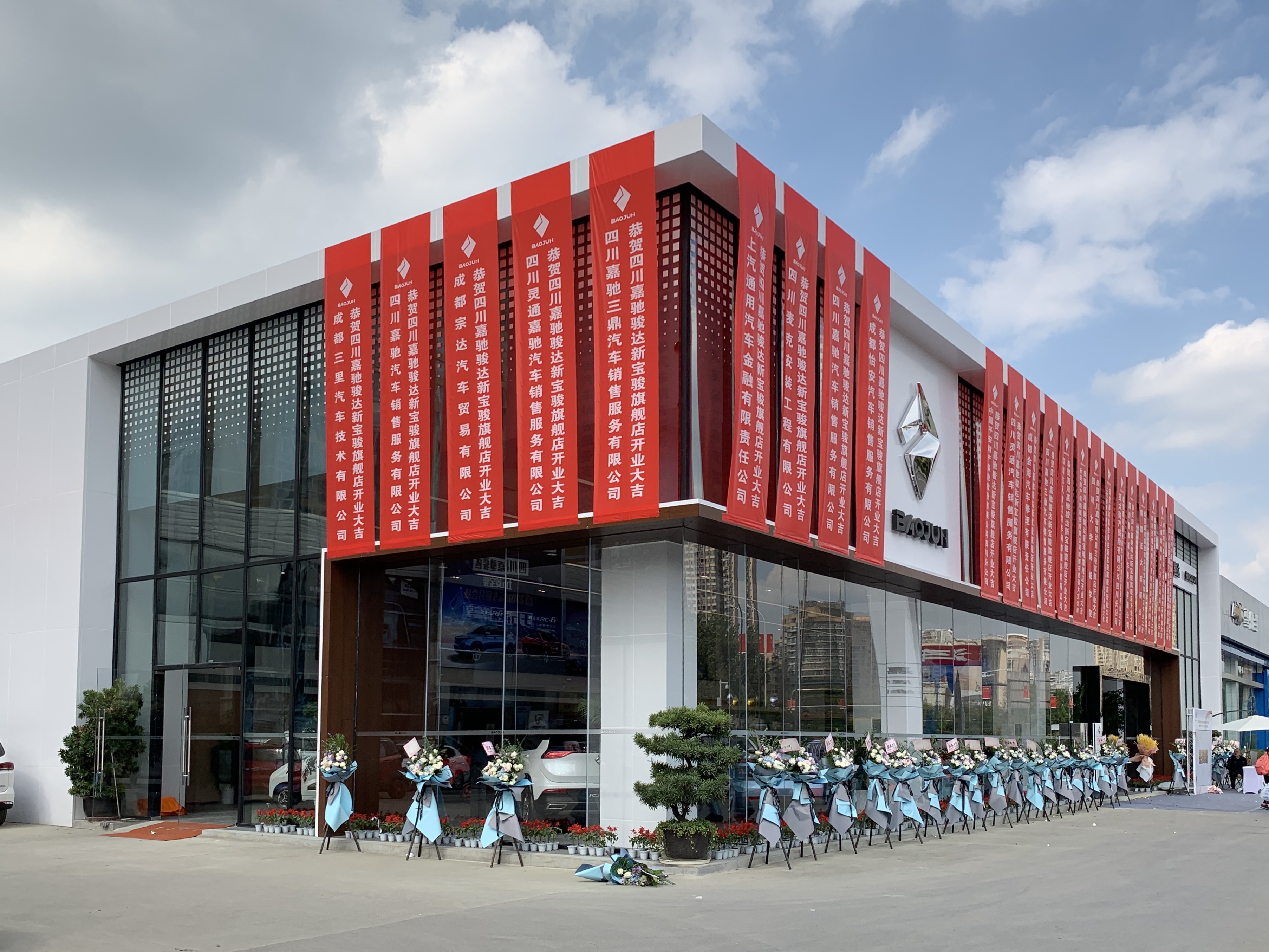 新宝骏钻石标图片,新宝骏钻石版