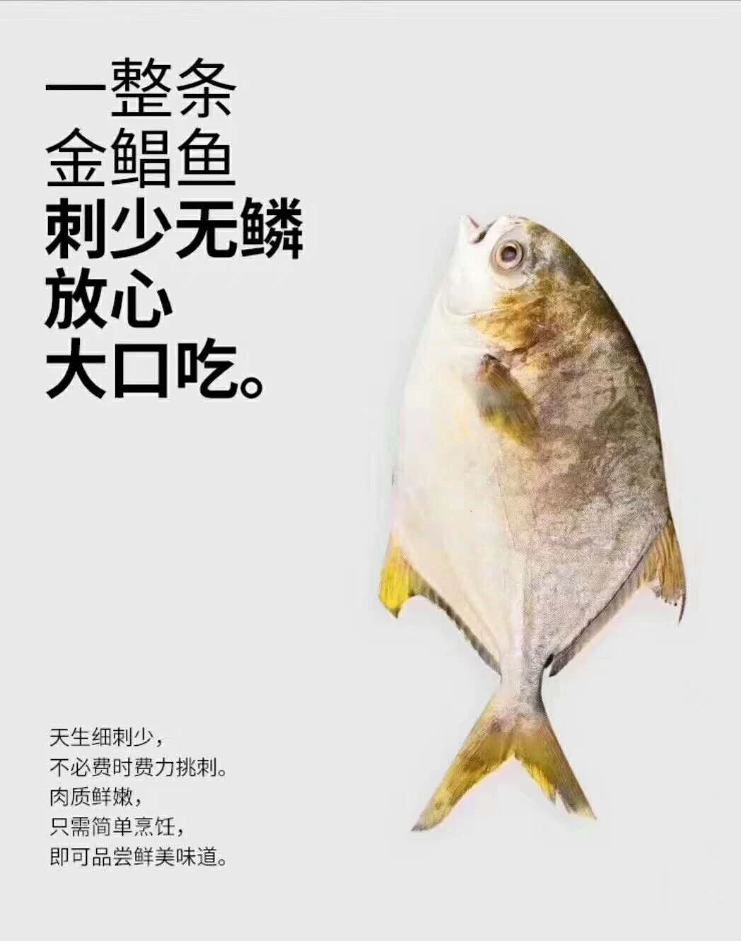 黄花鱼和金鲳鱼哪个更好吃刺少,金鲳鱼刺少肉鲜