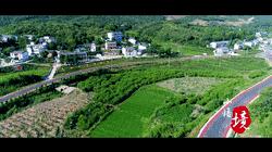 精彩绝伦!今天小悟乡的这场活动温暖又火爆!赶紧来点赞!