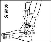 每日一穴承扶穴,每日一穴三阴交穴