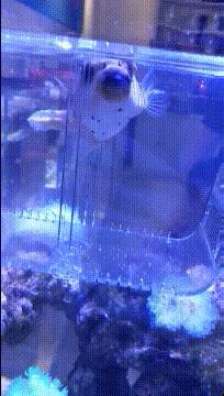 现在挣钱的幽默笑话,2022年幽默笑话大全爆笑