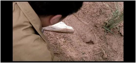 韩国真实改编案件历时33年告破,韩国真实事件改编的案件