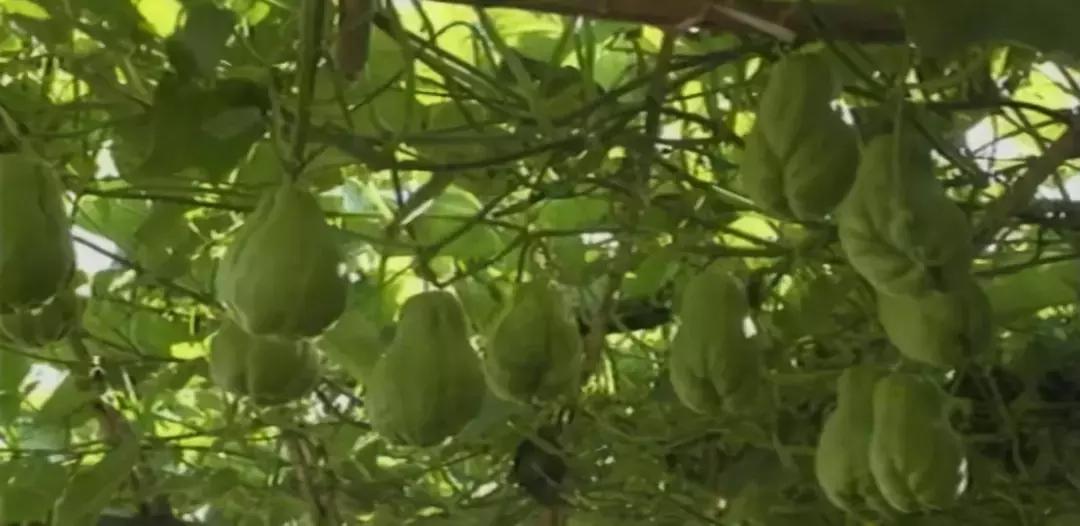 销售渠道和带货方式,库存货源不足如何销售