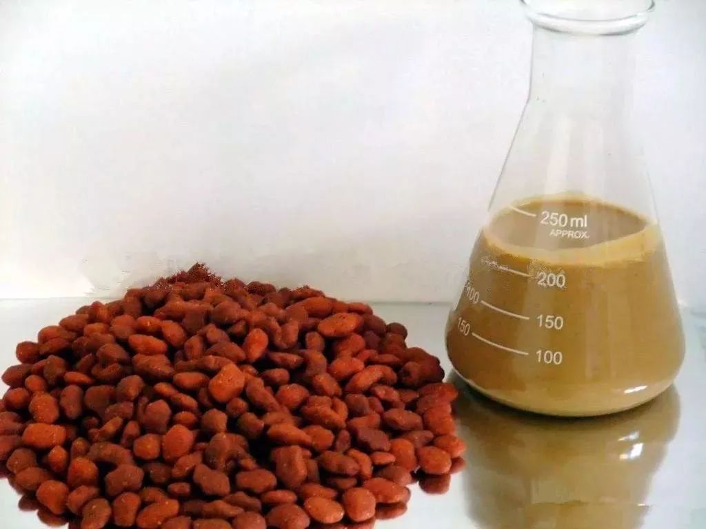 宠物食品发展特征及问题分析,宠物食品需要具备哪些要求