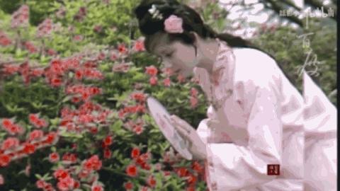 没有比较就没有伤害谁好谁坏,没有比较就没伤害谁来救