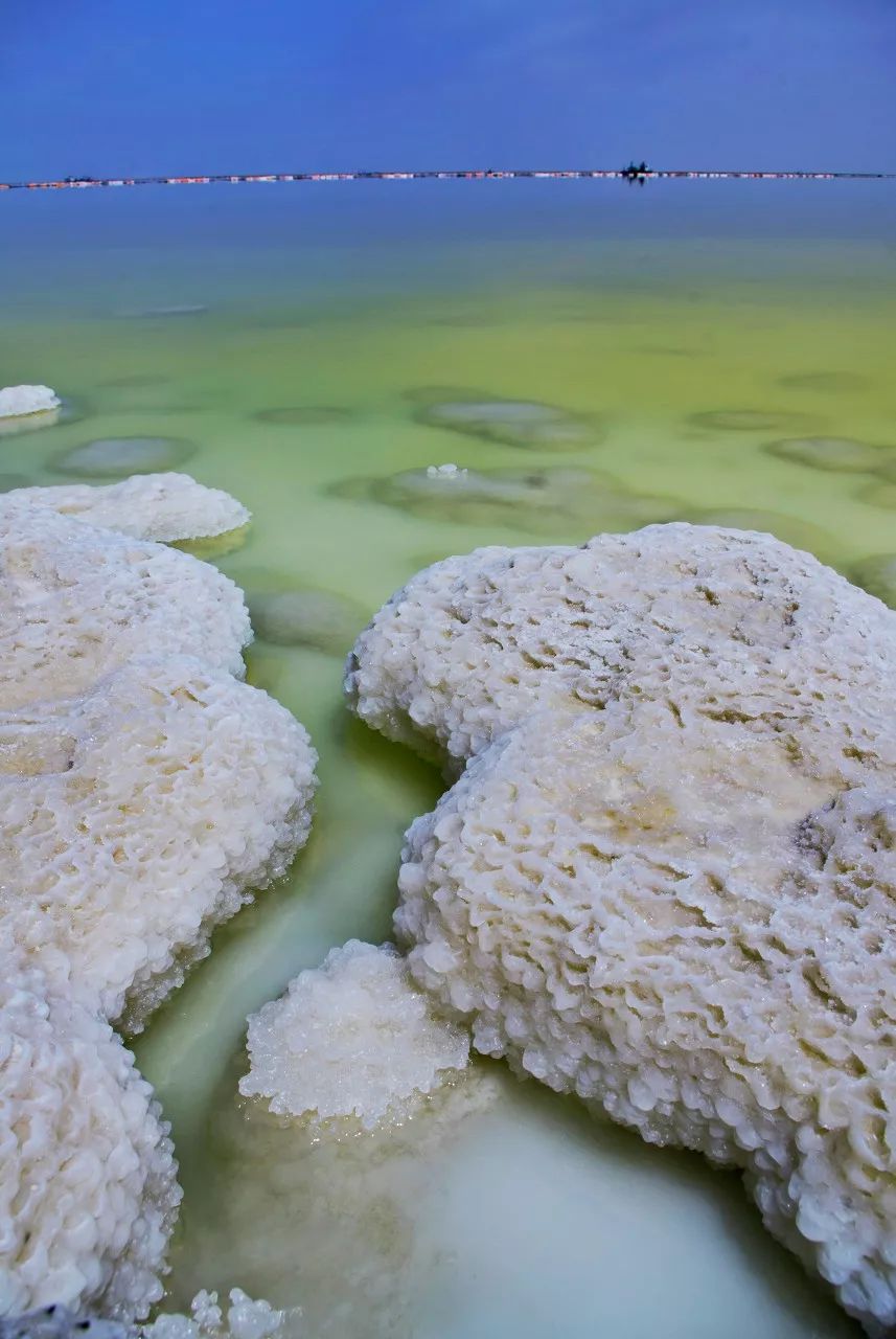 七月的青海湖美翻了,带你了解七月的青海