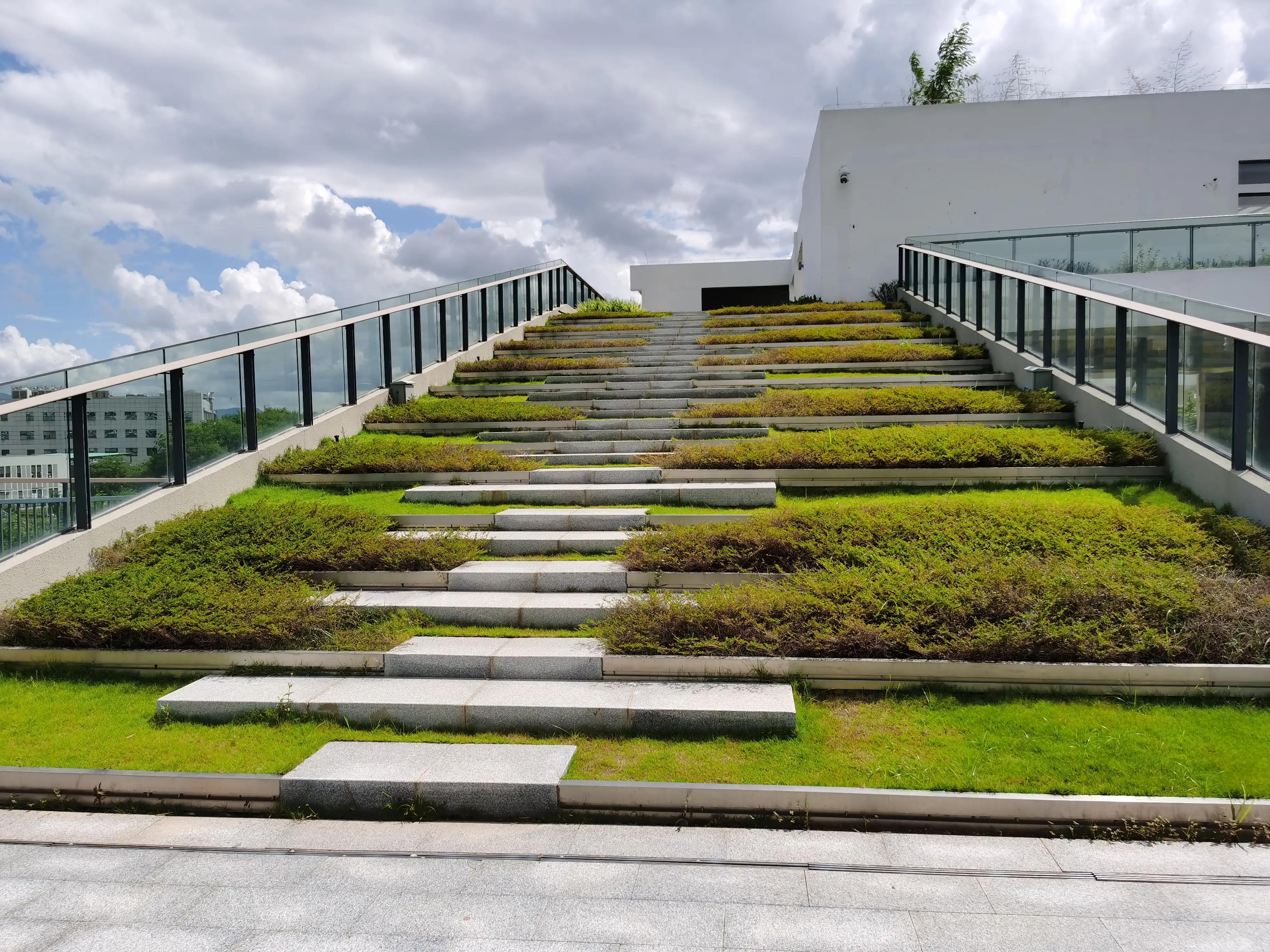 海滨生态公园足球场,深圳足球生态体育公园