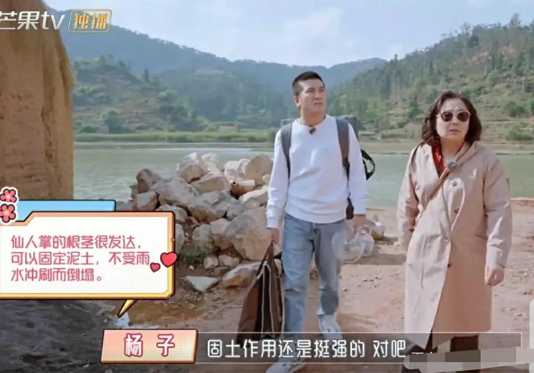 秘籍婆婆,黄圣依对自己婆婆的评价