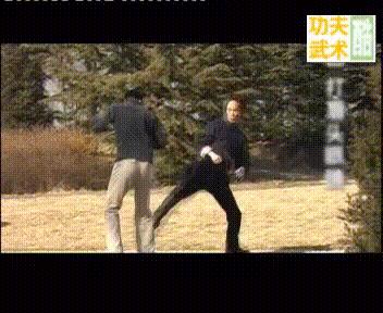 经典武术格斗技巧,各种武术格斗技巧