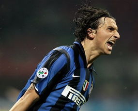 归路是什么题材,归路是什么小说