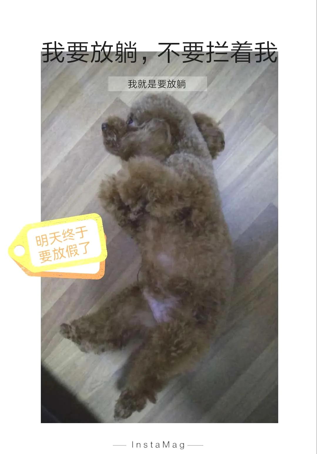 国庆七天乐毕福剑主持,国庆七天乐已经正式拉开帷幕