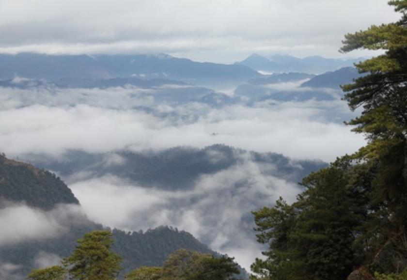 清明小长假，最美的行程当属井冈山