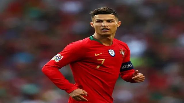 葡萄牙进四强2024年欧冠,葡萄牙喂海鸥