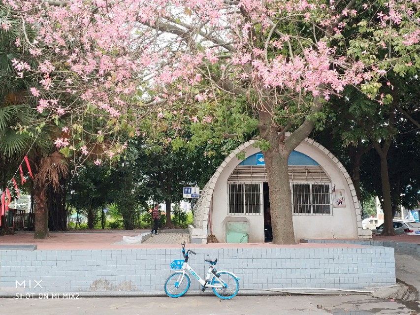 〔胭脂随笔〕走哪想哪,想哪写哪之西贡香水