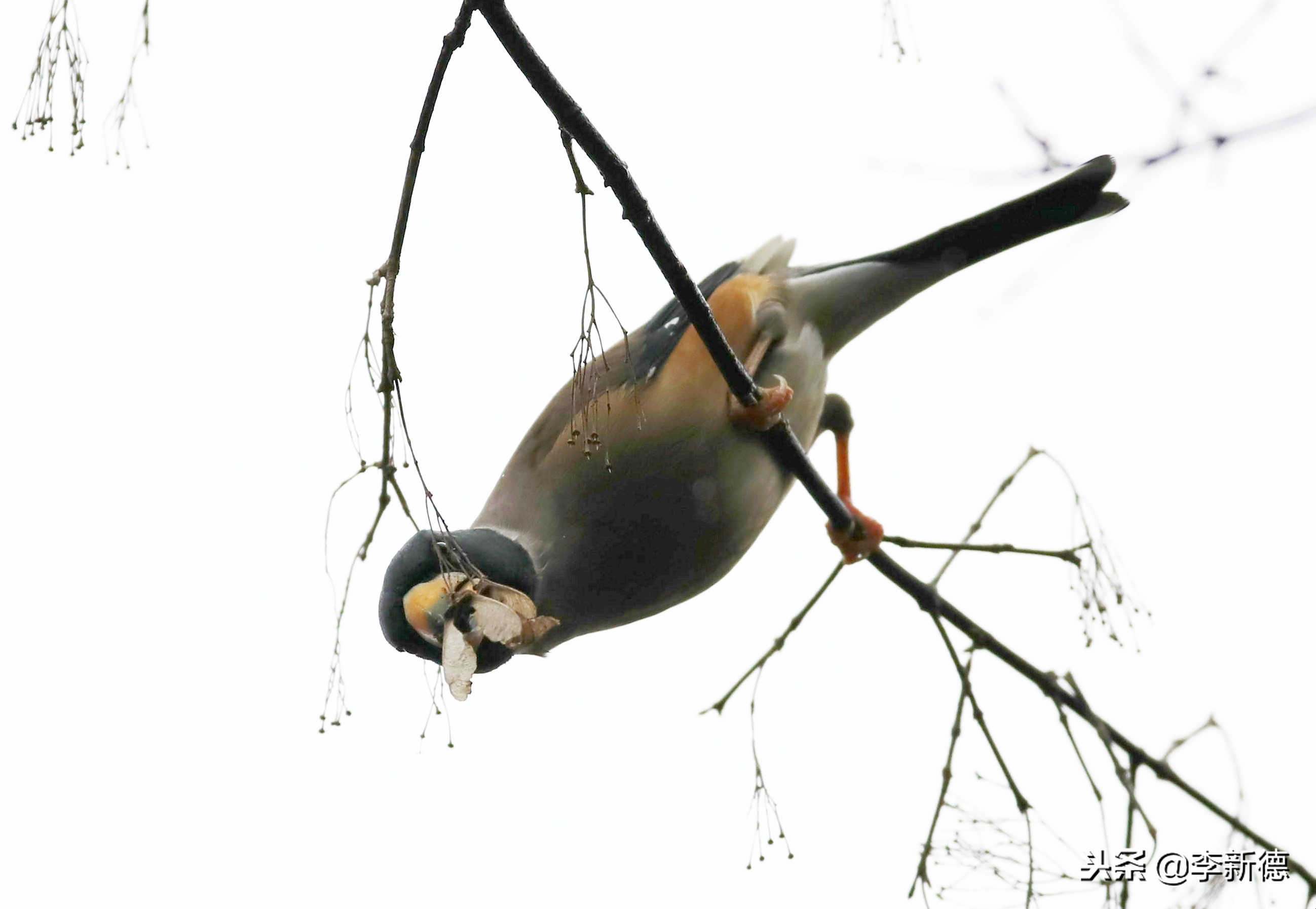 合肥高新区蜀峰湾,合肥市蜀峰湾
