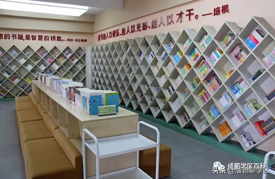 大源板块学校,大源片区最好的小学