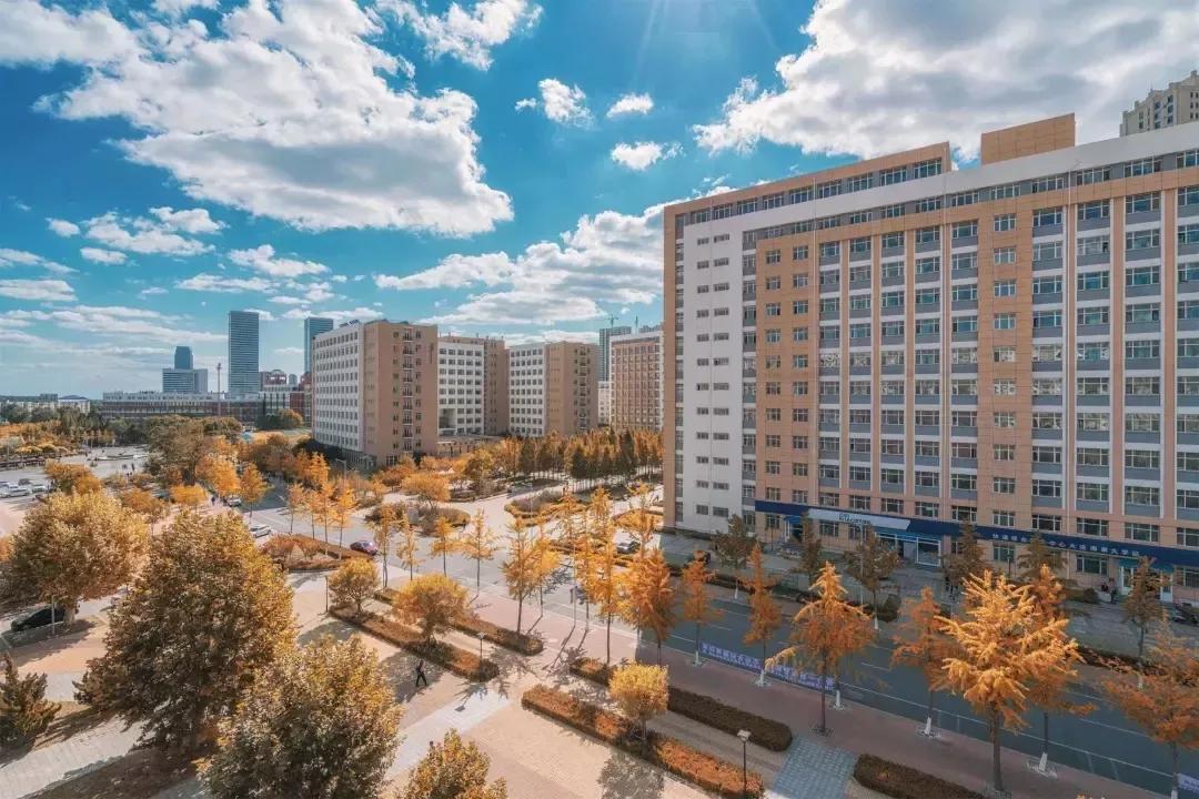 大连海事大学和辽宁省哪个级别高,大连海事大学辽宁省大学排名