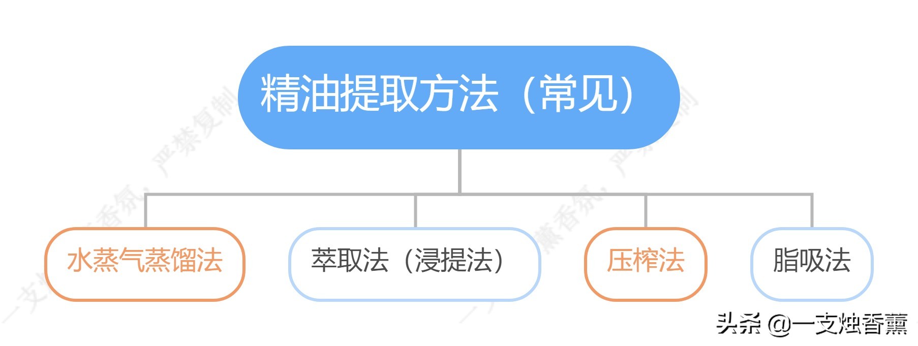 调香师必备精油用法大全,调香精油调配方法