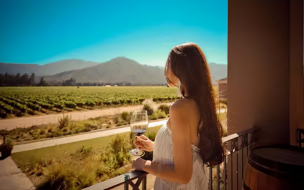 *疆新**美女，去过50个国家，30岁负债200万，却8个月还清，凭啥？