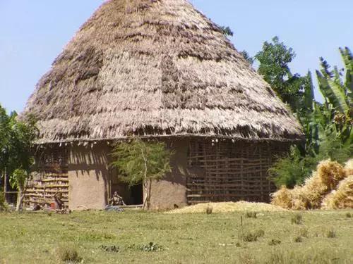 中国投资者海外买地受阻