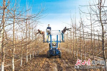 决战决胜脱贫攻坚年,决战决胜脱贫攻坚