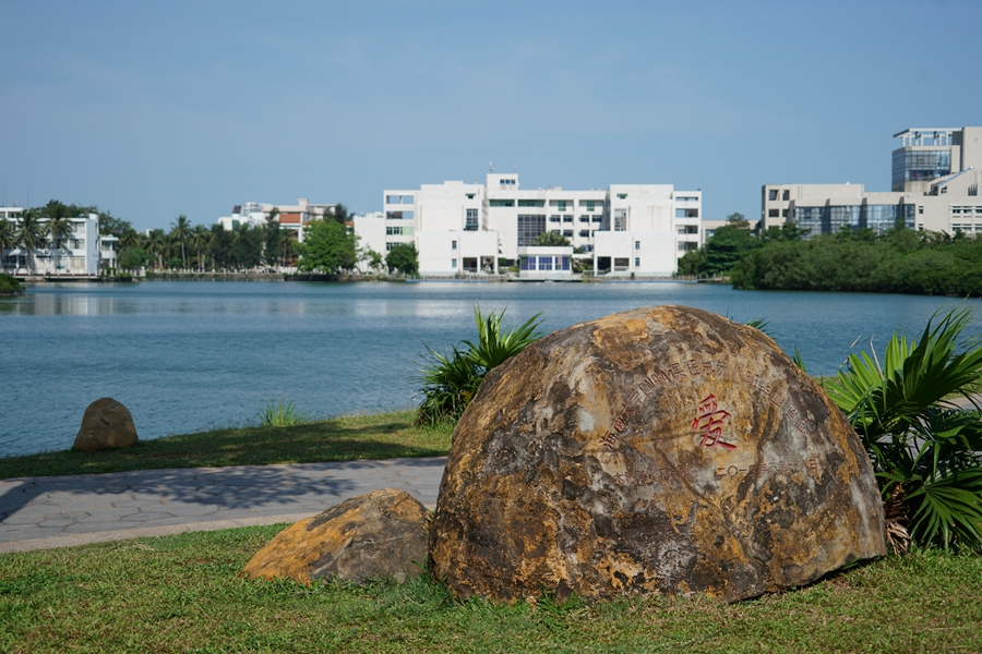 南溟奇甸由来,南溟奇甸见闻录