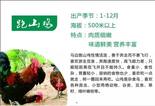 端午食博会暨特色农产品展13日开幕!绵乐眉成达资都来了