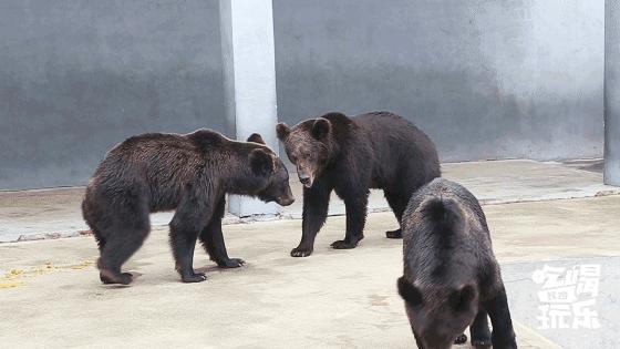 长沙靖港古镇与乔口古镇哪个好玩,乔口古镇有什么好玩的