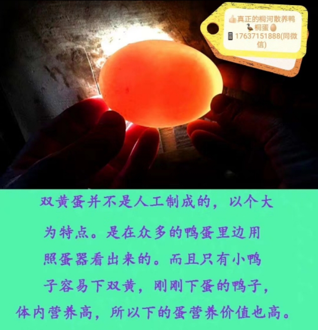 唐河桐蛋,豫食安特色产品