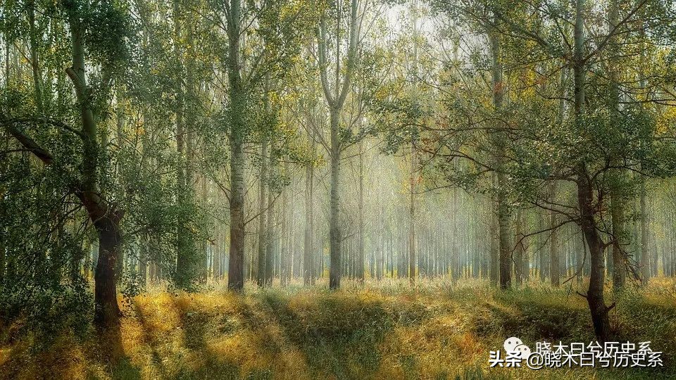 死屋西伯利亚流放制度