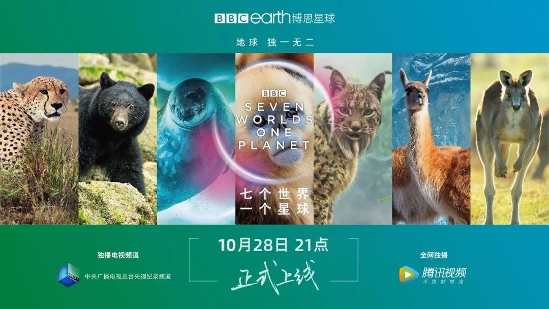炸裂9.9,BBC再出神片,美得让人脸红