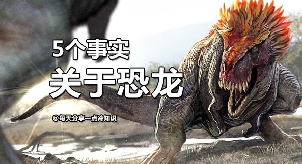 恐龙的11个惊人真相,关于恐龙4个令人难以置信的发现