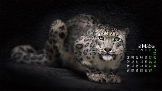 ps速成班哪里学,ps教程培训哪家好