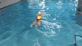 零基础学游泳怎么自学,零基础学游泳五天带你学会游泳