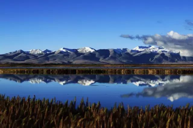 世界上海拔最高的公路！中国最神奇的天路！比川藏线还险10倍！