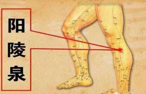 下肢瘫痪艾灸什么穴位,小儿麻痹症瘸腿可以治好吗