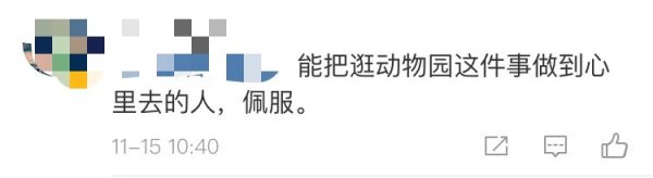 4个月宝宝逛北京动物园,武汉最好逛的动物园