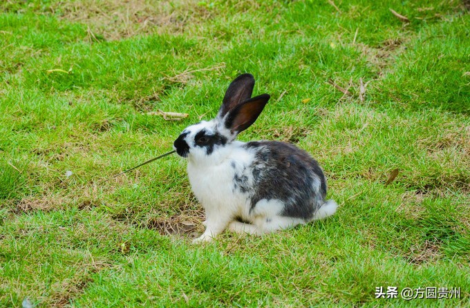 这个夏日，看这个美女如何在浙江乌村的第一百种玩法