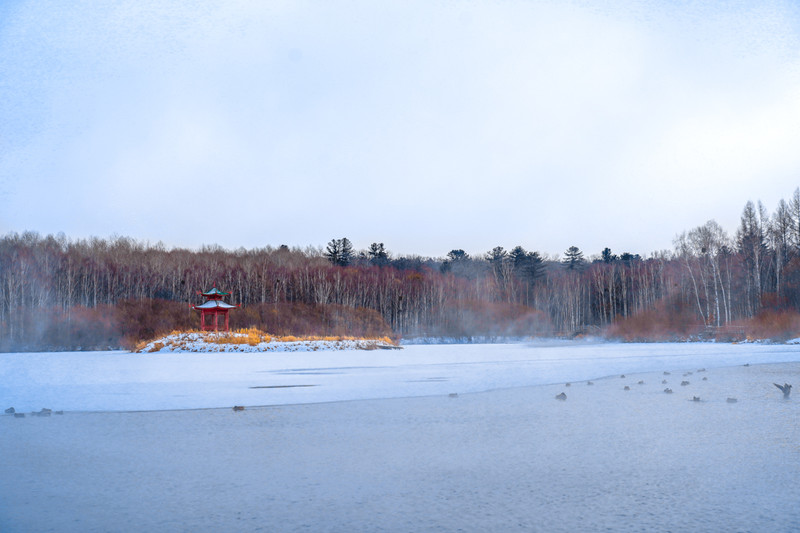 冰雪总动员简介,冰雪总动员