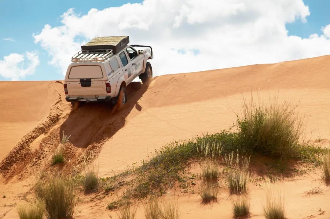 坝上秋色之金色草原,坝上金色草原风景