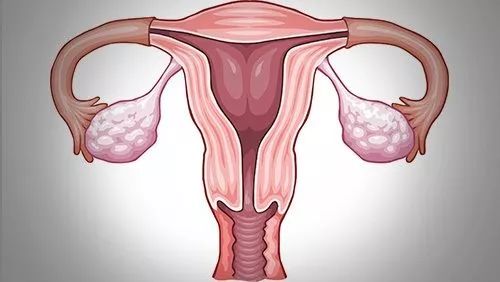 月经量少经期不规律会影响怀孕吗,月经量少与不排卵有关系吗