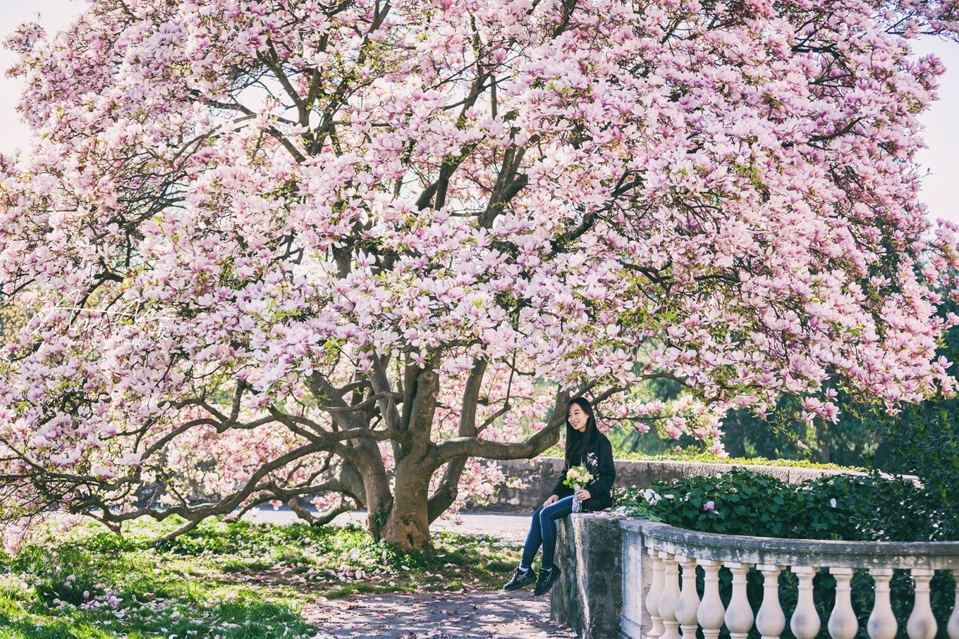 春夏莱芒湖旅游攻略,日内瓦莱芒湖