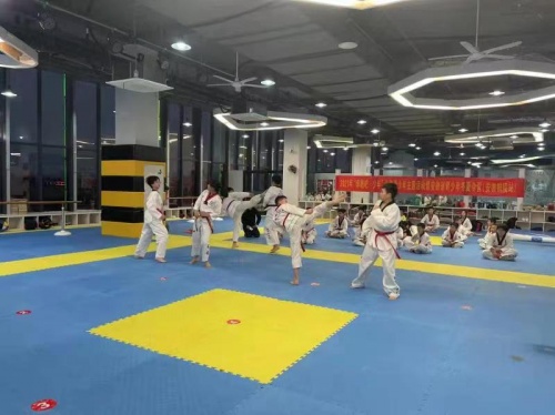 爱冰雪迎冬奥全国青少年征稿,爱冰雪迎冬奥青少年冰雪表演活动