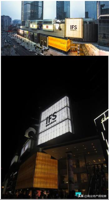 在成都看ifs熊猫,成都ifs上的爬墙大熊猫