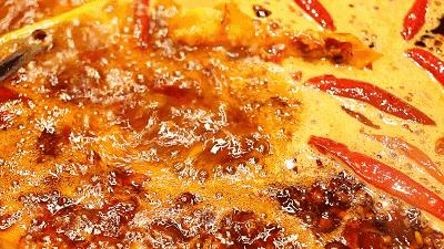 探店饭店10人,探店一百家火锅