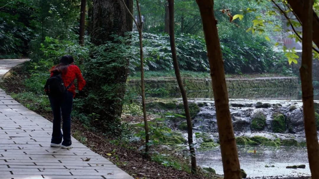 滁州著名的琅琊山,琅琊山安徽滁州