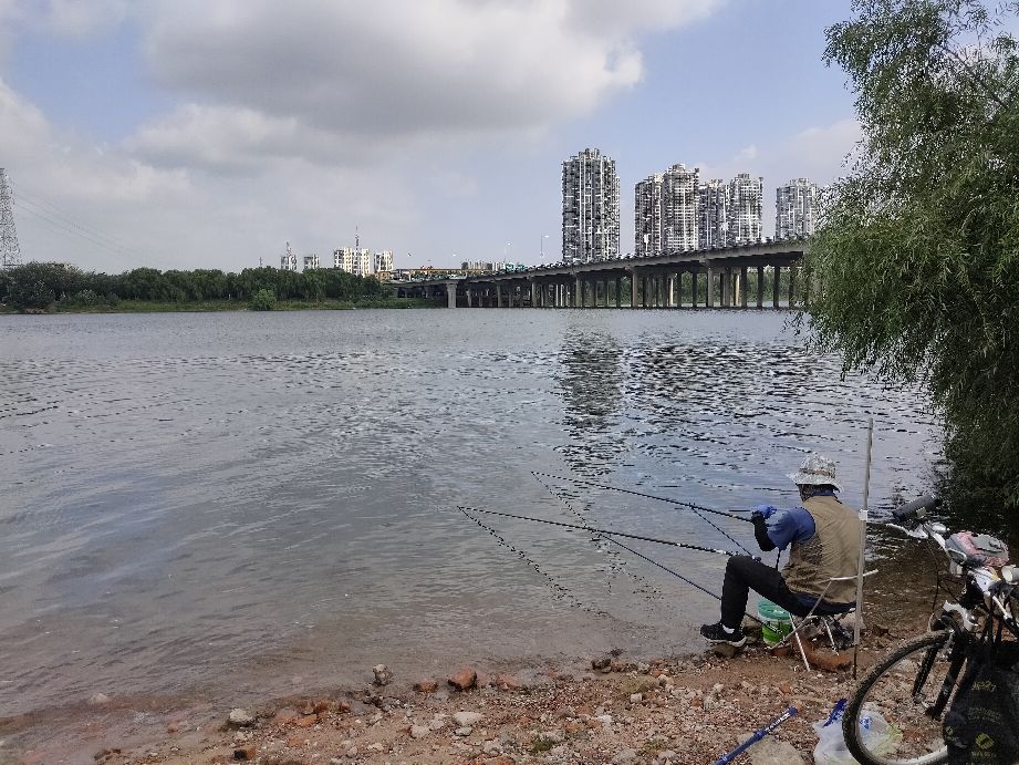 沈阳优待证免费的景点,沈阳70岁以上免费景点