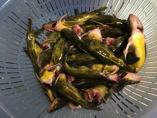 夏天要常吃这个菜,适合夏天吃的美容蔬菜